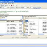 FTP Software