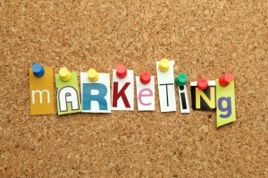 website marketing options