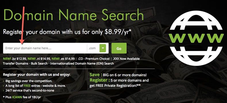 domain search box