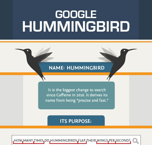 Google Hummingbird infographic
