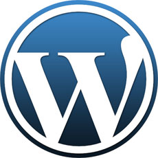 Wordpress website builder